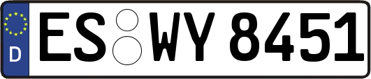 ES-WY8451