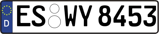ES-WY8453