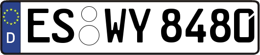 ES-WY8480