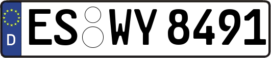 ES-WY8491