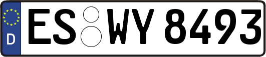 ES-WY8493