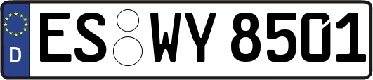 ES-WY8501