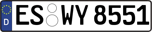 ES-WY8551