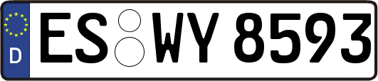 ES-WY8593