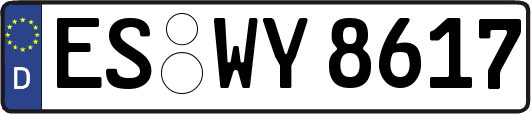 ES-WY8617