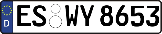 ES-WY8653