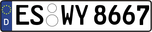 ES-WY8667