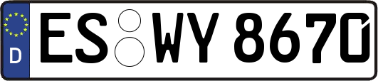 ES-WY8670