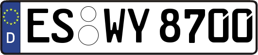 ES-WY8700