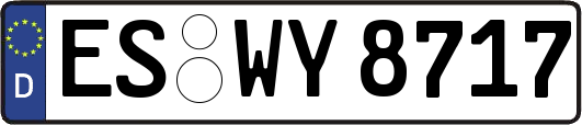 ES-WY8717