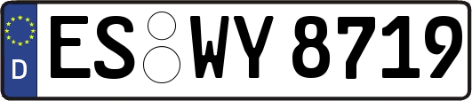 ES-WY8719