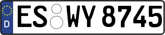 ES-WY8745