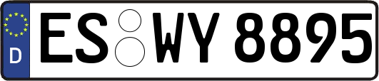 ES-WY8895