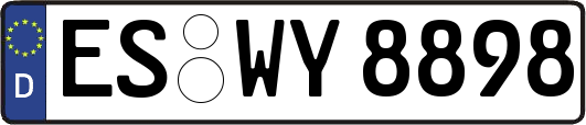 ES-WY8898