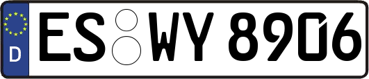 ES-WY8906