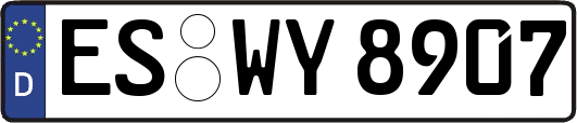 ES-WY8907