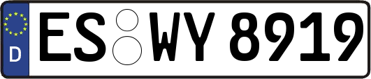 ES-WY8919