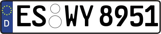 ES-WY8951