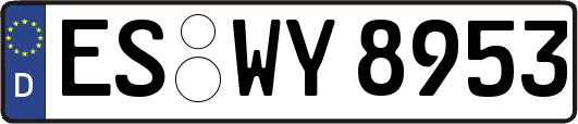 ES-WY8953