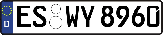 ES-WY8960