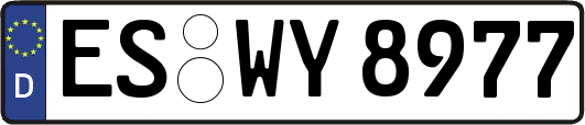 ES-WY8977