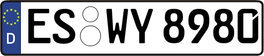 ES-WY8980