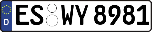ES-WY8981