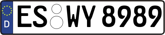 ES-WY8989