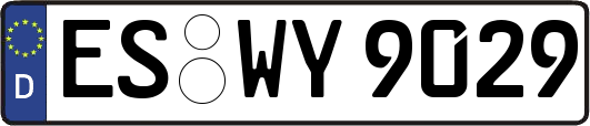 ES-WY9029