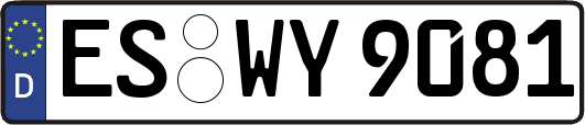 ES-WY9081