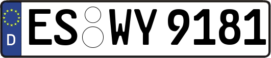 ES-WY9181