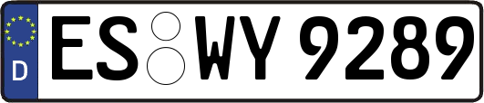ES-WY9289