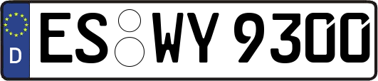 ES-WY9300