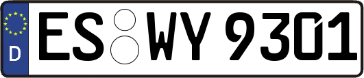 ES-WY9301