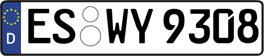 ES-WY9308