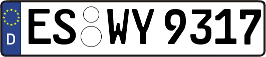 ES-WY9317