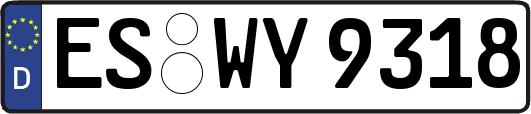 ES-WY9318
