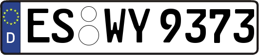 ES-WY9373