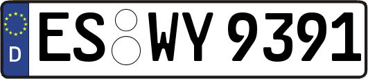 ES-WY9391