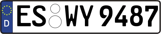 ES-WY9487