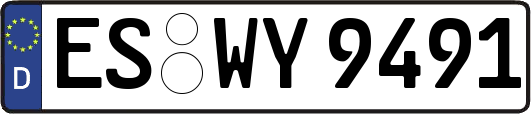 ES-WY9491