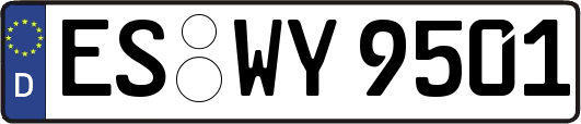 ES-WY9501