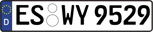 ES-WY9529