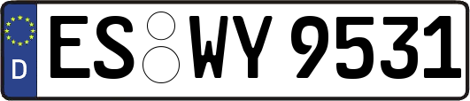 ES-WY9531