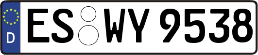 ES-WY9538