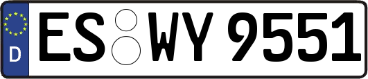ES-WY9551