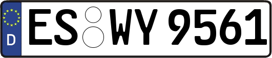 ES-WY9561