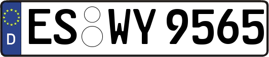 ES-WY9565