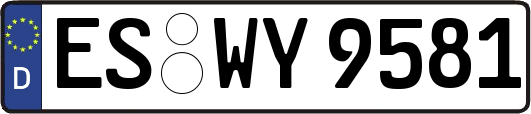 ES-WY9581