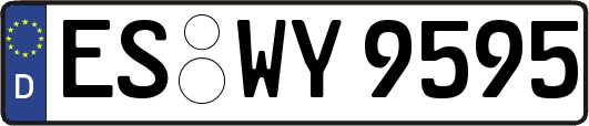 ES-WY9595
